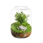 Wholesale Glass Vase HP-002